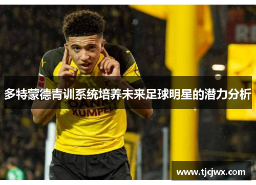 多特蒙德青训系统培养未来足球明星的潜力分析