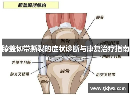膝盖韧带撕裂的症状诊断与康复治疗指南